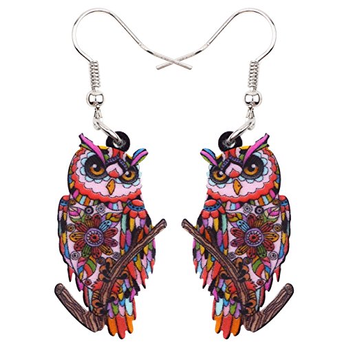 Bonsny Jewelry Pendientes de búho con diseño de pájaros acrílicos para niñas, mujeres, niños y ambos lados