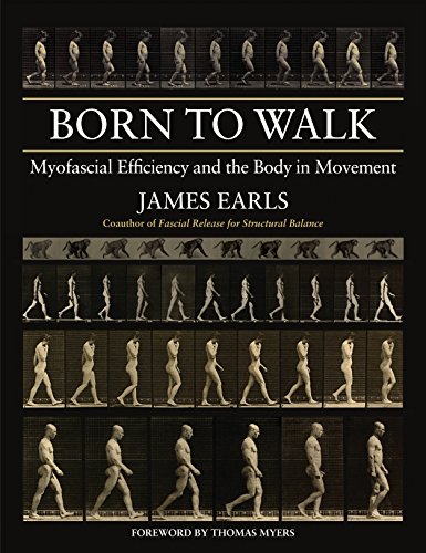 Born to Walk: Myofascial Efficiency and the Body