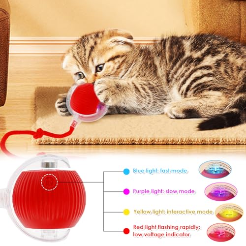 BOBASH 2 Stück Interaktives Katzenspielzeug Ball Katzenball Spielzeug Elektrisch 360° Rolling Ball Hund Hundespielzeug mit USB für Katzen Hunde
