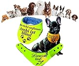 LunaChild Handmade Hundehalstuch für blinde oder taube Handicap Hunde mit Name gelb Größe XXS XS S M L XL XXL XXXL WUNSCHNAME Halstuch Hund Tuch Name Hundehalstuch personalisiert