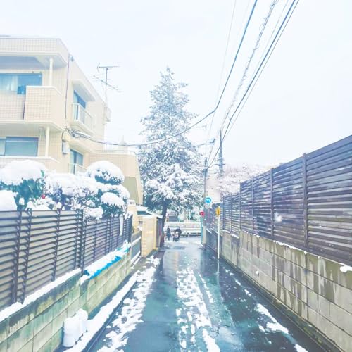 #4 壊れるモノとタロットと締めの言葉の話