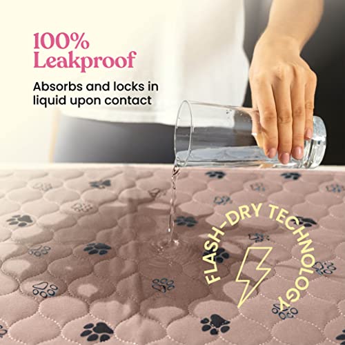 Image of Super Absorbent Washable Pee Pads for Dogs - 2-Pack Superior Reusable Puppy Pads Pet Training Pads -100% Waterproof Dog Pee Pad Protects Against Urine Leakage Non-Slip Grip Prevents Slipping& Bunching