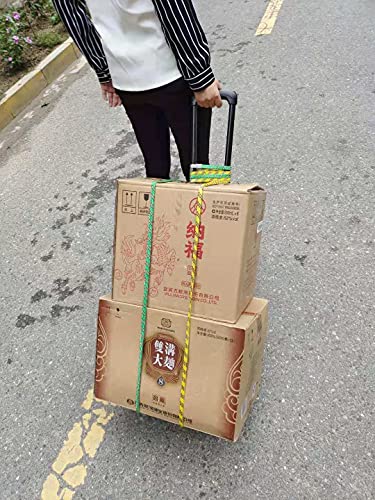 Mshop Small Plastic Folding Luggage Cart With 2 Wheels Lightweight Folding Shopping Trolley Mini Luggage Hand Truck For Travel, Moving And Office Use Trolley (Lc-01),Black, #TOP1