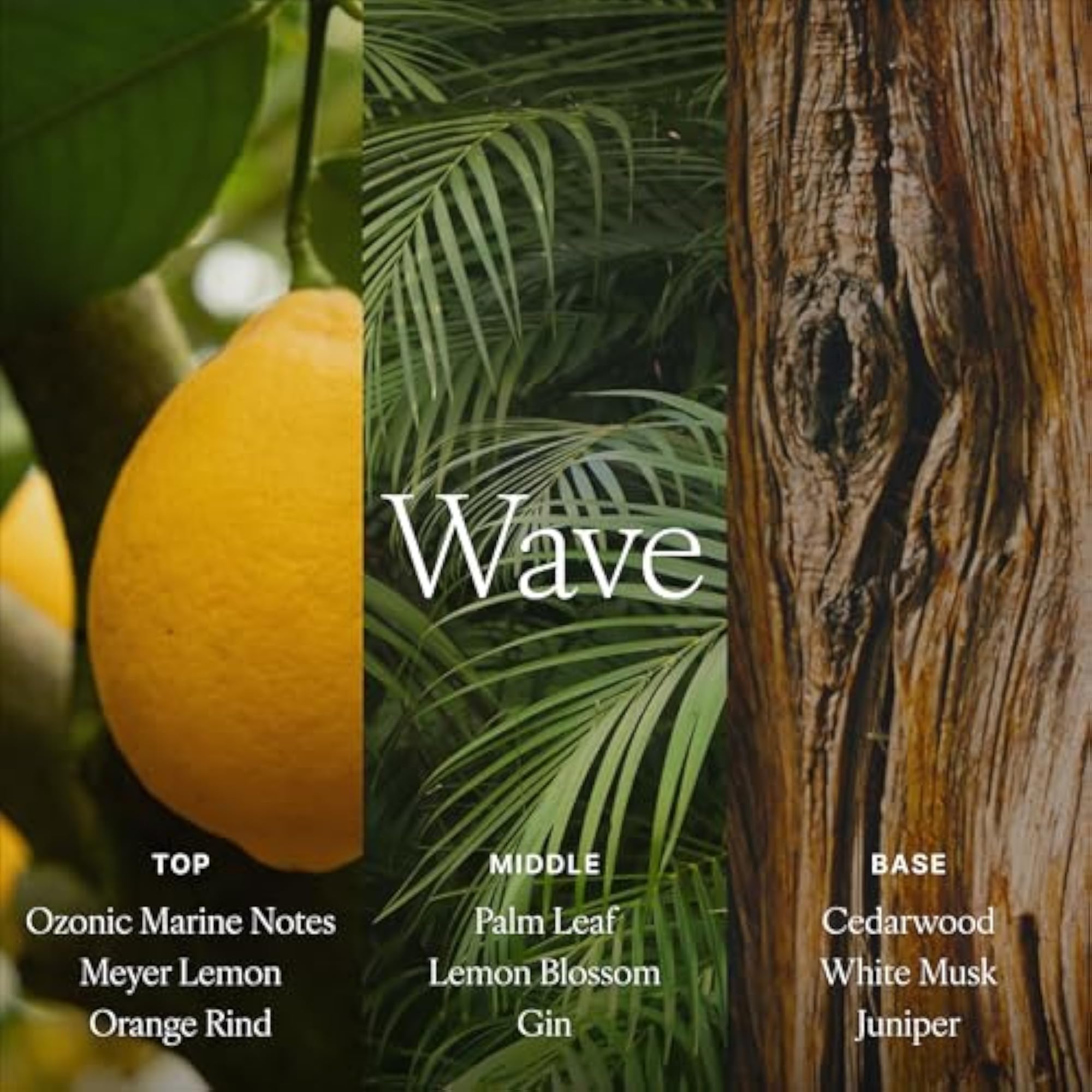 Candle Wave, 9 oz, Scented Gift