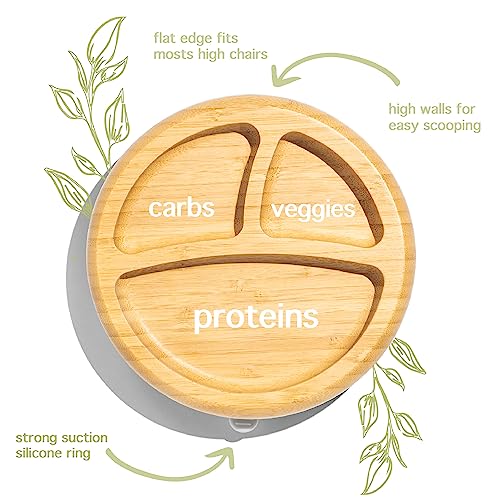 Avanchy® Bamboo Baby Plates Divided With Removeable Suction For Babies Kids Toddler Food With Silicone Spoon For Feeding (White) #TOP1
