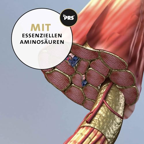 Peticare Muskulatur & Aktiv Pulver-Mix für Hunde | Ergänzungsfuttermittel mit Collagen & Aminosäuren | Unterstützung für Beweglichkeit & Vitalität | für aktive Hunde & Senioren | petDog Health 2503