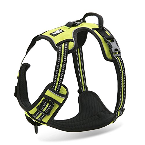 SGODA No Pull Dog Harness with Handle Reflective, Small, Green