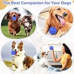 DISSKNIC Indestructible Squeaky Dog Ball, Relieves Anxiety, Cleans Teeth, Interactive Chew Toy for Aggressive Chewers, Dog Toy for Large Breeds, Outdoor Waterproof - Image 6