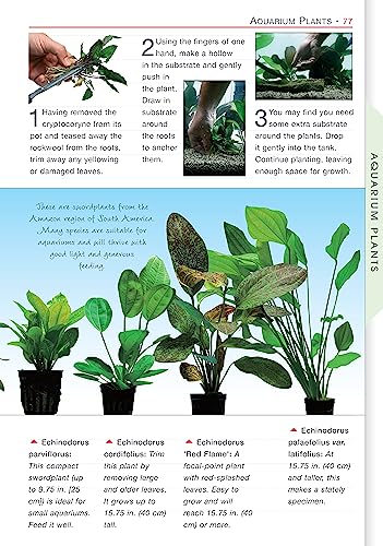 Freshwater Aquariums (CompanionHouse Books) Essential Beginner-Friendly Guide to Setting Up Your Tank, Filtration, Health, Fish, Plants, Substrates, Lighting, and More (Aquamaster) - Image 3