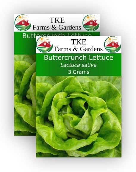 TKE Farms & Gardens - Semillas de lechuga Buttercrunch para plantar, 0.11 oz, aproximadamente 2500 semillas de reliquia, sin OMG, el paquete incluye