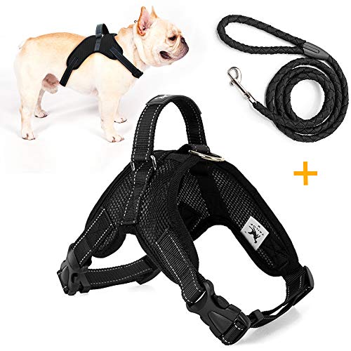 Trongle - Chaleco para Perro con asa de fácil Control, cómodo y Transpirable, Correa Ajustable para el Pecho para Perros de tamaño pequeño con Correa de Nailon