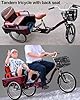 Cargo trike with back cabin,tandem tricycle with foldable back seat,cruiser trike for adult and senior,hydraulic front fork,3 wheels bicycle,rickshaw with pedals #1