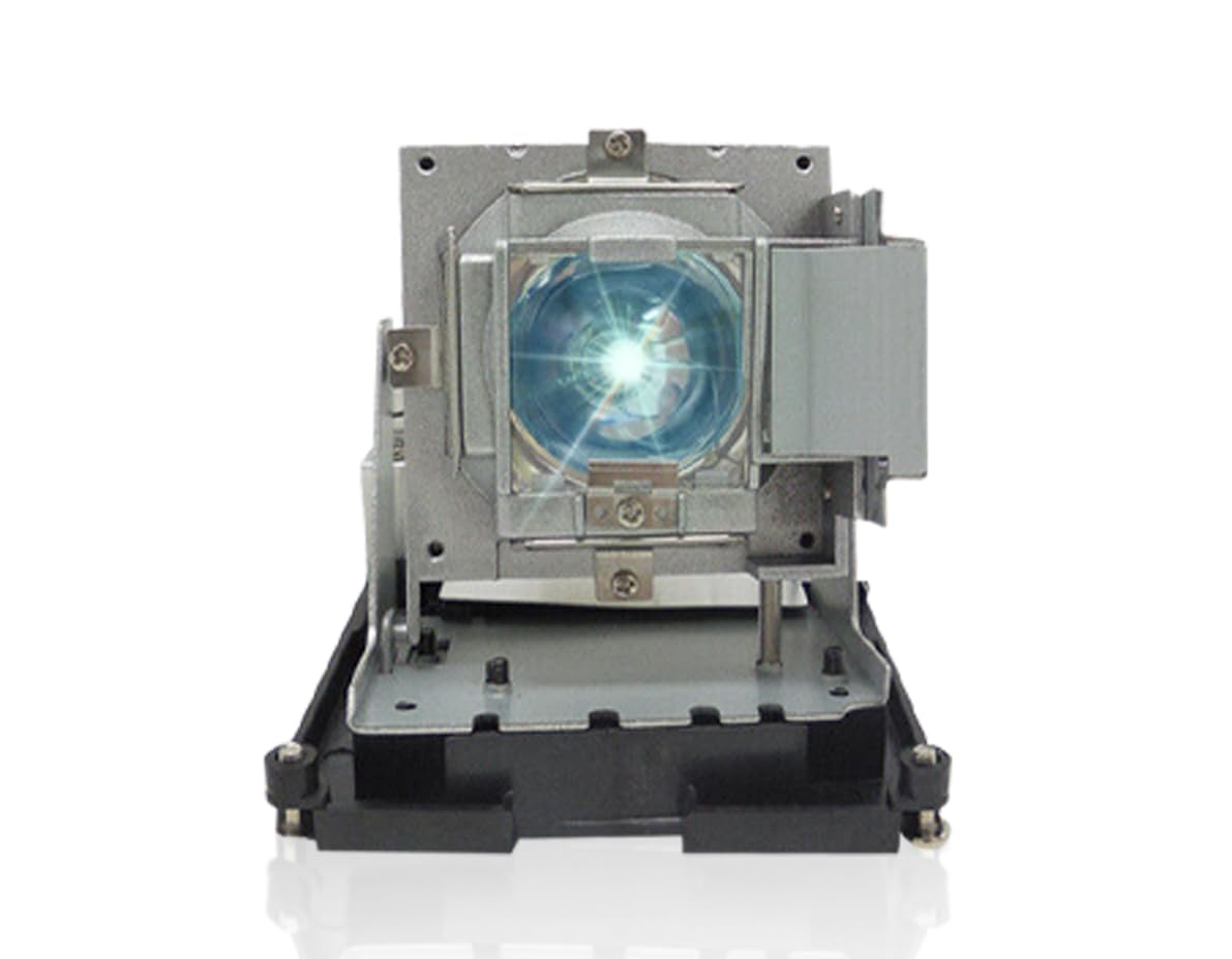 BL-FU310B / 5811118436-SOT Replacement Projector Lamp Bulb Compatible with OPTOMA DH1014 DH1017 EH500 X600 Projectors, with Housing