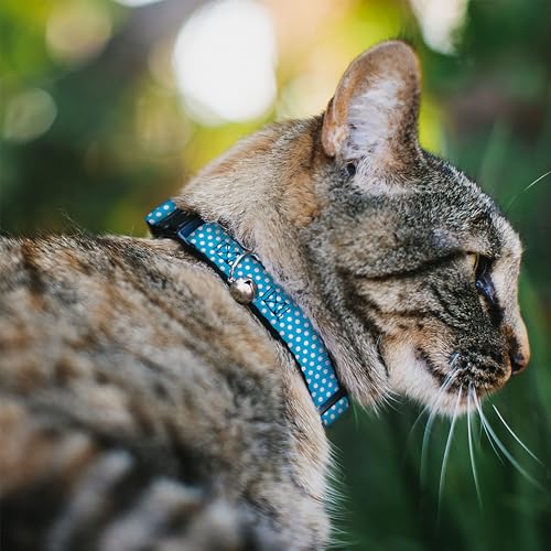 Collar de gato breakaway Buckle-Down ajustable con hebilla de seguridad anti tirones 3