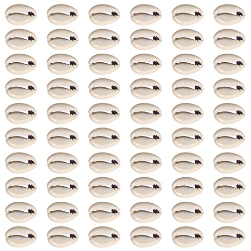 TOAOB Pack of 200 Natural Shell Beads 15 to 19 mm Seashells Kauri for DIY Jewellery Making Deco Crafts Grey