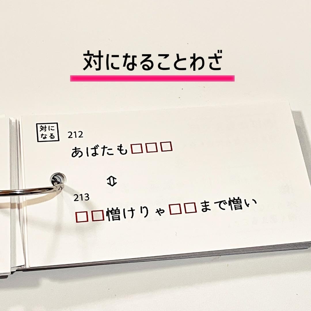 中学受験 言葉ナビ サピックス 暗記カード 予習シリーズ 【公式通販】