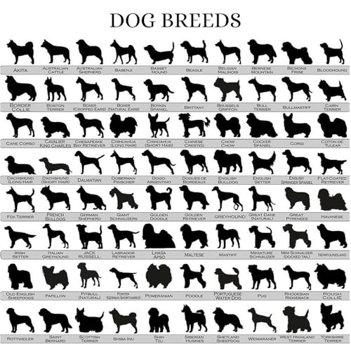 UrbanNEST Personalized Vet Tech Pullover, RVT Sweatshirt, Veterinarian Medicine, Embroidered Jacket, Scrubs, Assistant Gift 5