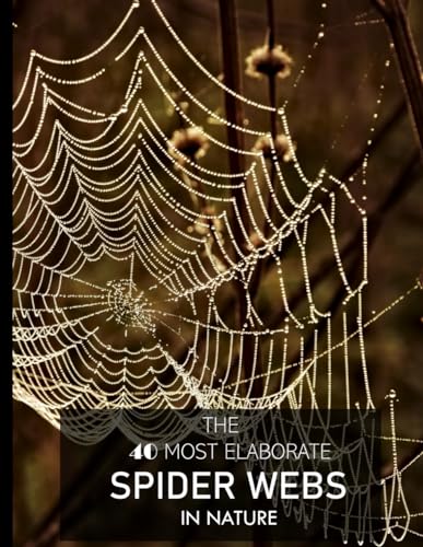 The 40 Most Elaborate Spider Webs In Nature: Discover the intricate world of arachnid artistry and marvel at the 40 most intricate spider webs woven ... Table Picture Book or Perfect Gift for all.