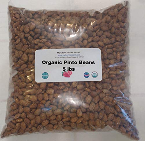 Pinto Beans, 5 Pounds Dried, USDA Certified Organic, Non-GMO Bulk