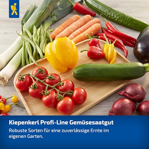Kiepenkerl Profi-Line Paprikasamen Salma-Mini Rot® 1031240 - Nasch Paprika - kompakter Wuchs - extra- süße Früchte - Saatgut, Samen Gemüse, Gemüsepflanzen