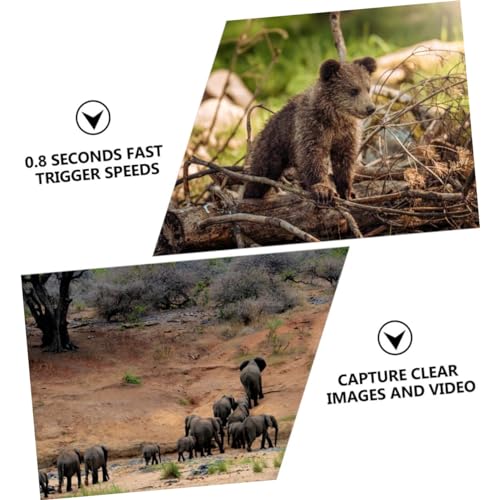 Caméra de chasse 38 LED infrarouges avec déclenchement 0,8s