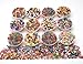 School Smart Bead Kit with Elastic Thread - 30 Yards - Set of 3300 Includes Thread - Assorted Colors