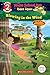 Blowing in the Wind (The Magic School Bus Rides Again: Scholastic Reader, Level 2)