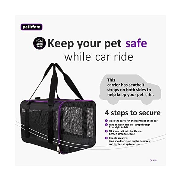 Soft Pet Carrier for Small Dogs