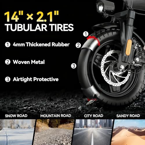 Folding Electric Bike 800W