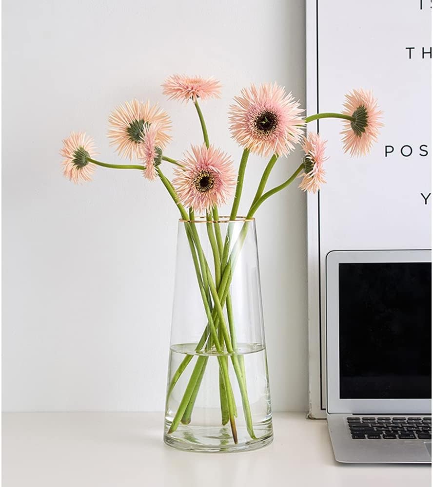 Mahganya Decorative Glass Vase - Clear & Stunning -2