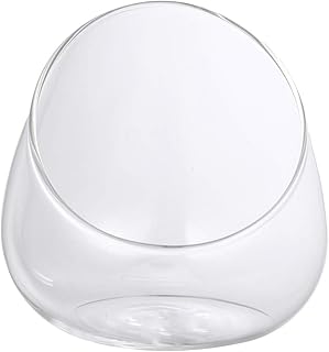Hemoton Clear Slant Cut Bubble Bowl Glass Vase Bowl Round Globe Planter Terrarium Orb Candy Dish Fruit Jar Floral Container for Home Office Decor