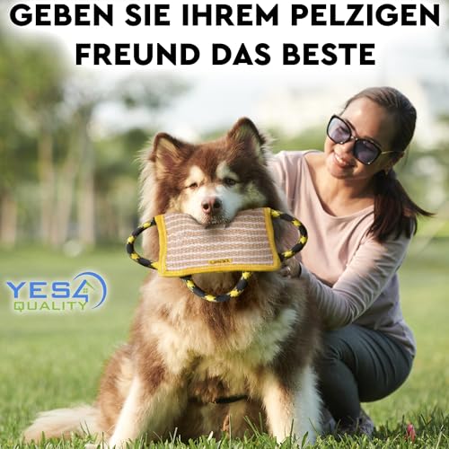 Hundebisskissen 25 x 18 cm mit 3 Nylongriffen, Kauspielzeug für Hunde für Sport und Training, Zerrspielzeug für interaktives Spielen von Yes4Quality