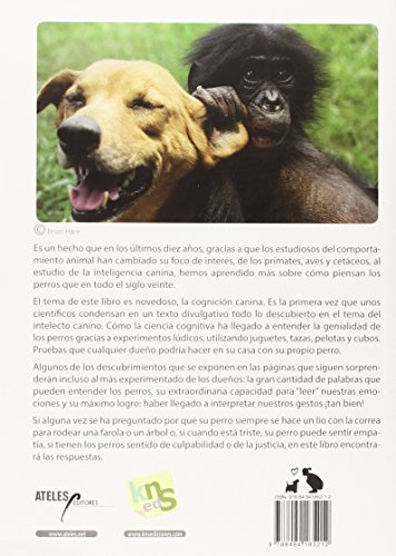 Genios : los perros son más inteligentes de lo que pensamos