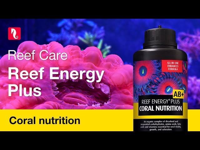 RedSea Reef Energy Plus 1000ml (AB+) All in One Coral Food for