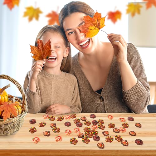 Image of JUNEBRUSHS 50 Pcs Thanksgiving Turkey Charms, Mini Resin Turkey Flatback Turkey Embellishment for Fall Thanksgiving DIY Crafts Home Table Decorations