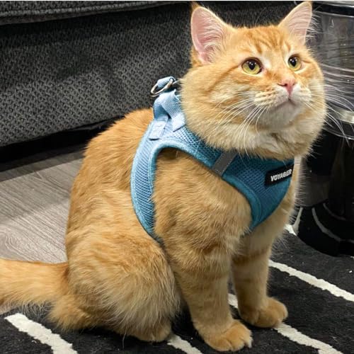 Image of Voyager Step-in Air Cat Harness & Leash Set - Baby Blue, XX-Small