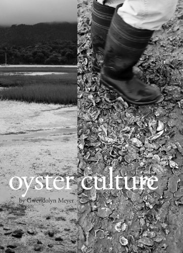 Oyster Culture