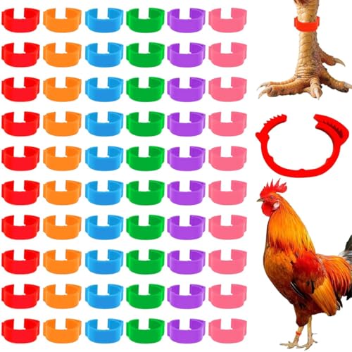JEYORZY 60 Pièces Bague Poule Anneaux De Jambe D'Identification, Anneaux De Jambe Multicolores Pour Identification De Poulet, Bandes D'Identification, Bague...