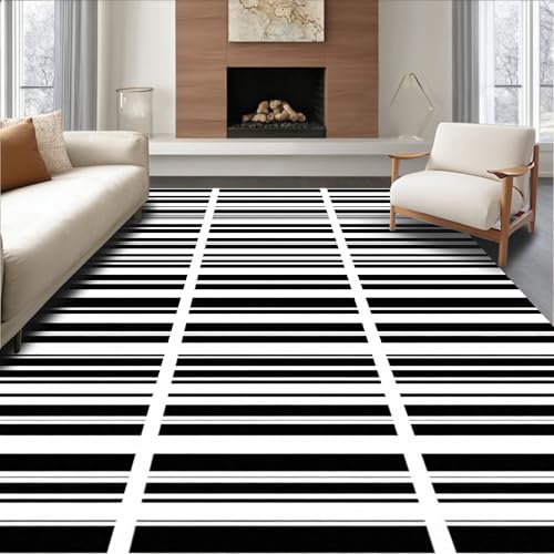 Design&I Flatwoven Area Rug 4x6 ft, Alternating Dual Tone Sleek