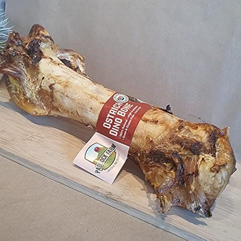Ultimate Ostrich DINO Bone for Big Dogs Cover