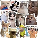 bicicleta hello kitty 20 Stickers Diversos – 300 pegatinas gatos, pegatinas divertidas meme, kitty sticker, sticker set estéticas perfecto para portátil, bicicleta, cuaderno, decoración y regalos creativos para niños y adultos.