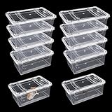 Isopod Futterbox für Reptilien, Kunststoff-Terrarium, Reptilienzuchtbox für Bartgecko, Drache,...
