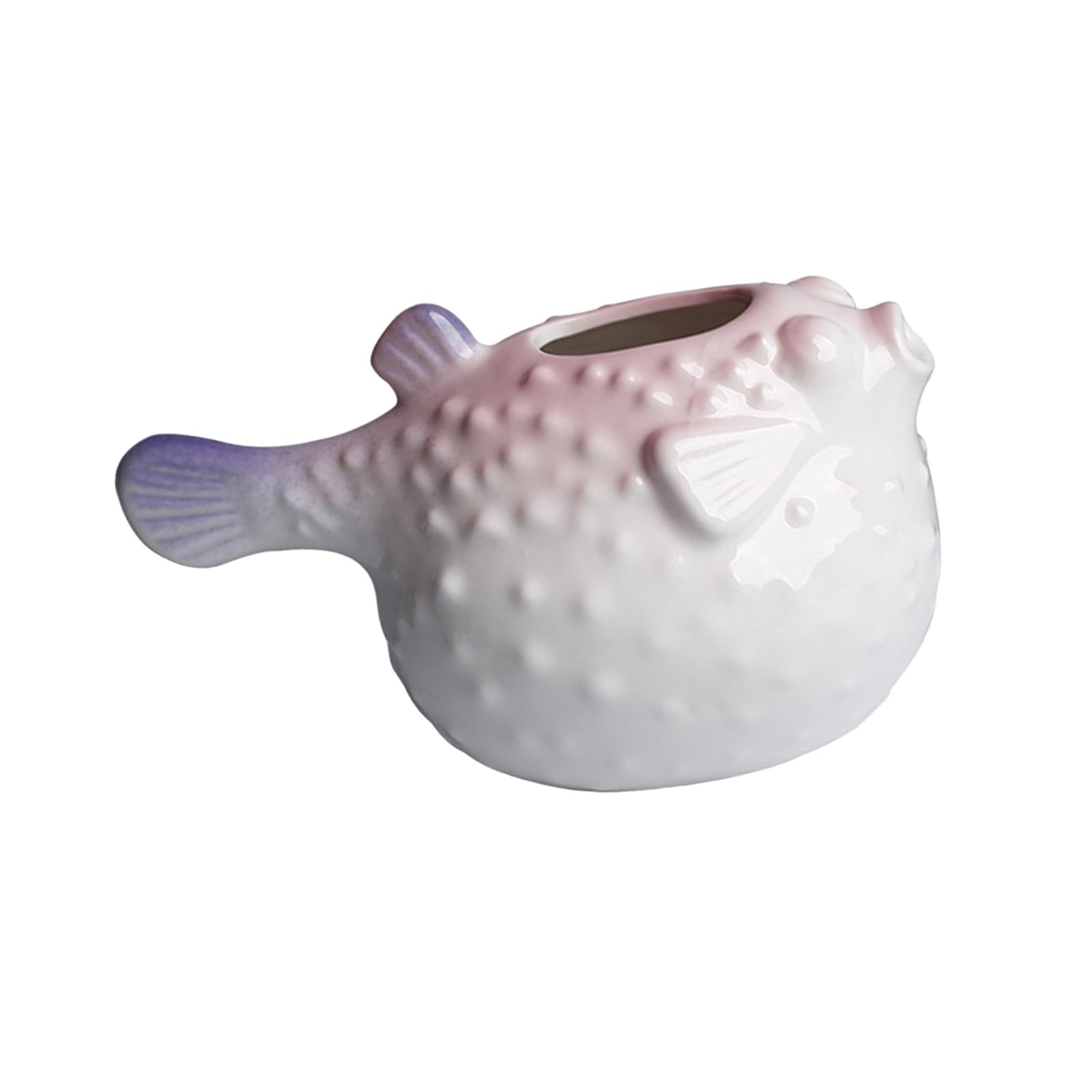 PANGBOER Tabletop Ceramic Fish Planter Vase for Succulents Desk Decors Windowsill Styling and Shelf Display Accent Succulents Pots
