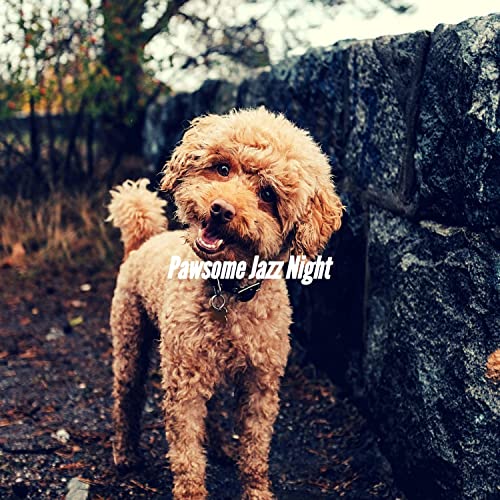 Vivacious Music for Echo