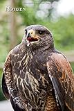  Notizen: Wüstenbussard, Harris Hawk, Bussard. Format A5, 120 Seiten, dezent grau liniert. Tageseintragungen, Notizen und Journal, Merkheft und ... die Falknerin, Natur- und Vogelfreunde.