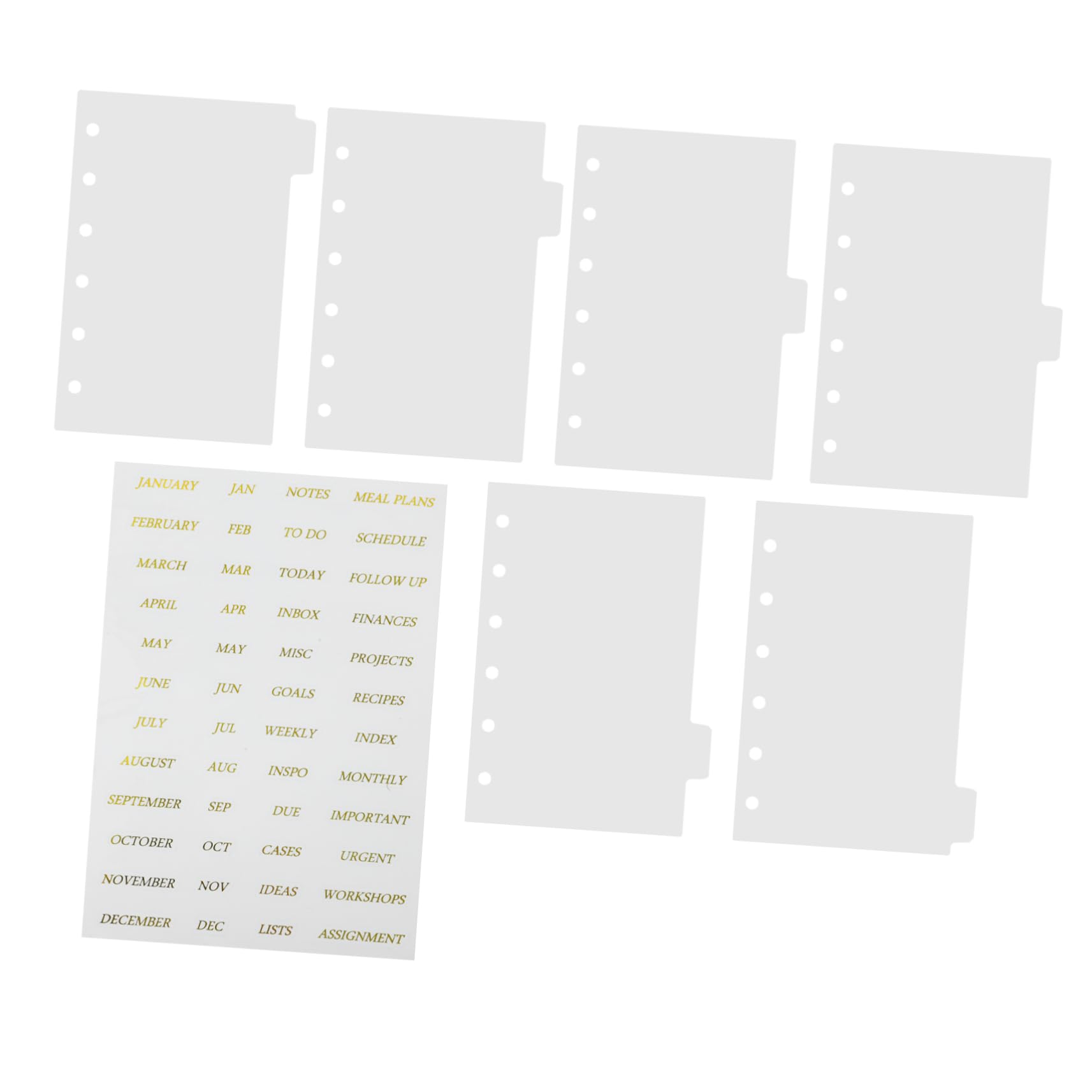 5sets Divisori Per Raccoglitori Trasparenti Con Anelli e Adesivi Dorati Di Pagine Separatrici Per Organizzazione Documenti e Appunti Per Scuola e Lavoro