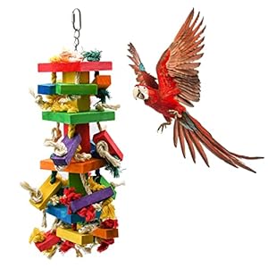 RUBY.Q 1/2/3 Pack Large Parrot Toy, 20in Bird Parrot Toy, Multicolored Natural Wooden Bird Chewing Toys for Large Macaws, African Grey and a Variety of Amazon Parrots (1 Pack)