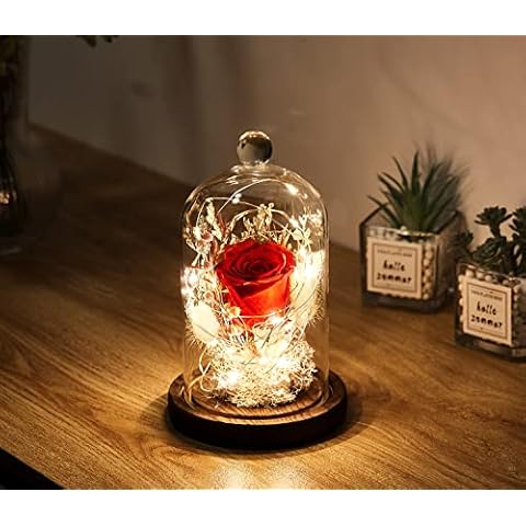 AOKKR Rosa Eterna con Luz LED Cover