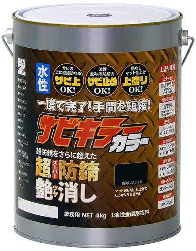 BANZI TrL[ J[  ubN 4kg