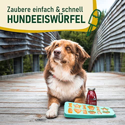 SmoothieDog Eiswürfelform aus Silikon + 6x Trinkpause (Ente) je 250ml Hundesmoothie - Hundeeis selber machen - BPA-frei, Eisform, Herz, Stern, Pfote, Knochen, Eiswürfelform, Hundekekse backen
